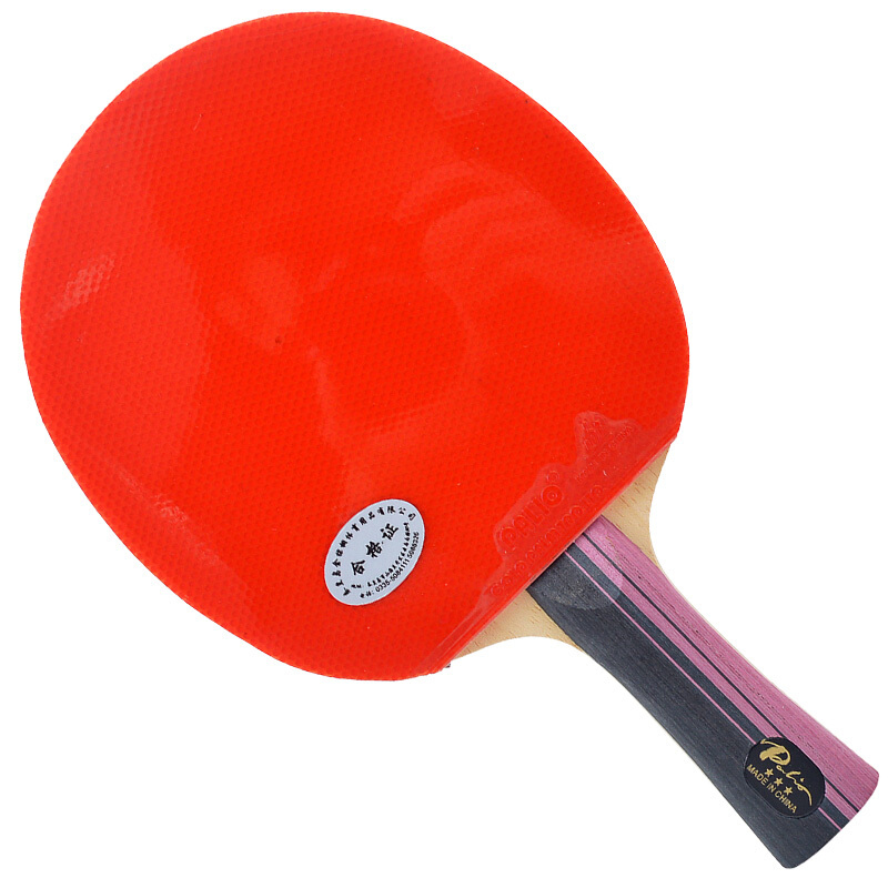 PALIO raket tenis meja karbon  - Table Tennis History ulasan dan harga