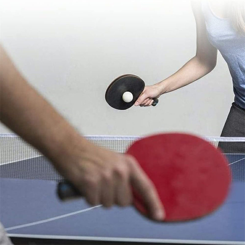 Jaring Tenis Meja Ping Pong da - Table Tennis Dimension ulasan dan harga
