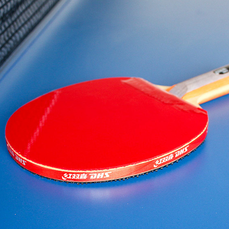 DHS Raket Tenis Meja Berpereka - Table Tennis Defense ulasan dan harga