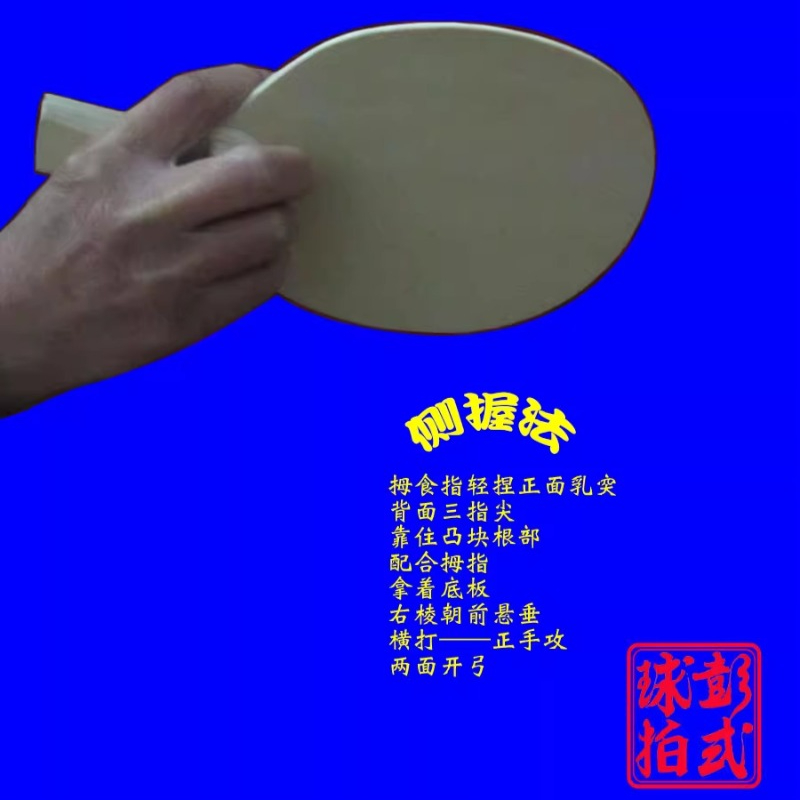 Raket Tenis Meja Gaya Cina/Jep - Table Tennis Umpire ulasan dan harga